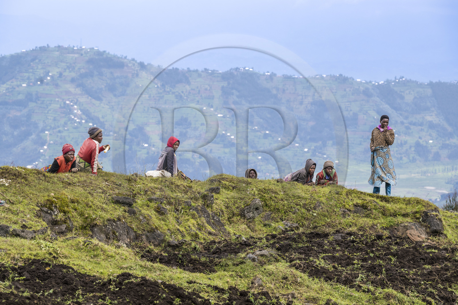 Rwanda, Northern Province, Musanze (Ruhengeri) District, cultivation of fields on the volcanic slopes of Mount Karisimbi in the Virunga Mountains on the edge of Volcanoes National Park where the gorillas live