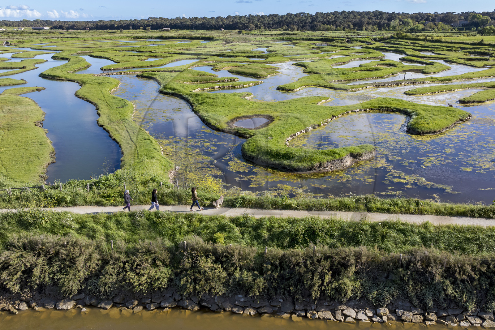 France, Vendée (85), Talmont-Saint-Hilaire, marais de la Guittière dans l'arrière pays de la Pointe du Payré, passage du Cul d’Ane, marais aménagés pour la pisciculture de dorades, mulets et anguilles (vue aérienne)