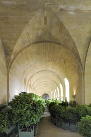 France, Yvelines (78), château de Versailles, classé Patrimoine Mondial de l'UNESCO, l'Orangerie en hiver de Jules Hardouin-Mansart