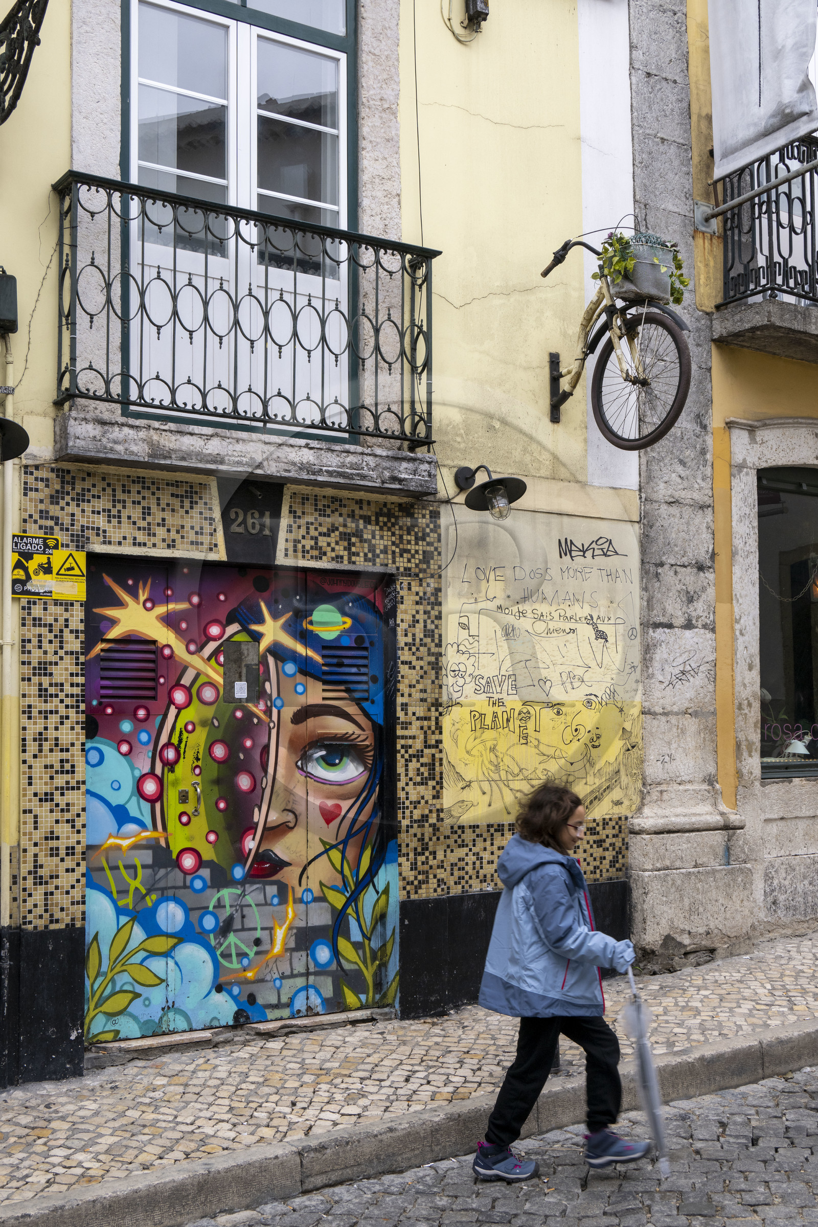 Portugal, Lisbonne, quartier du Bairro Alto, rua da Rosa