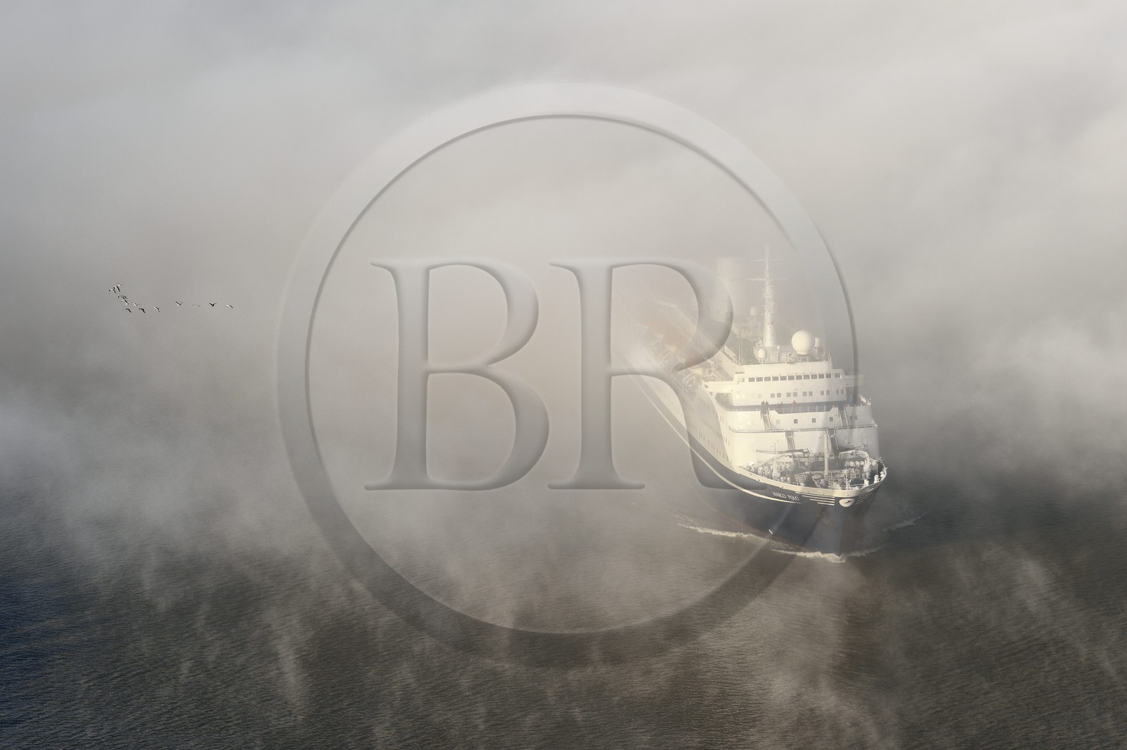 France, Seine-Maritime (76), Le Havre, un bateau de croisière emerge d'une mer de nuages et vol de mouettes