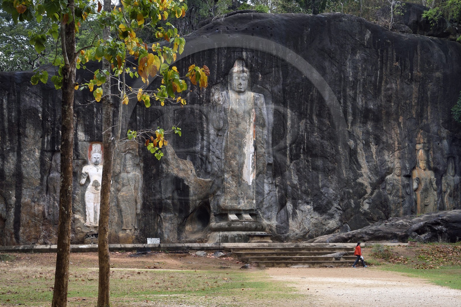 Sri Lanka, province d'Uva, Buduruwagala, bouddhas gravés dans la roche datant du Xe siècle