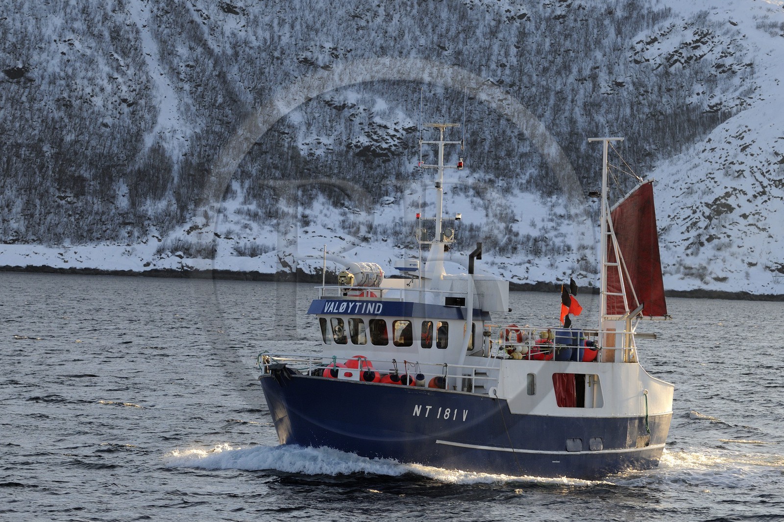 Norvège, Nordland, iles des Westeralen, région de Myre, bateau de pêche du cabillaud skrei