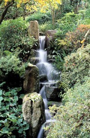 France, Hauts-de-Seine (92), Boulogne-Billancourt, le jardin japonais du musée départemental Albert-Kahn