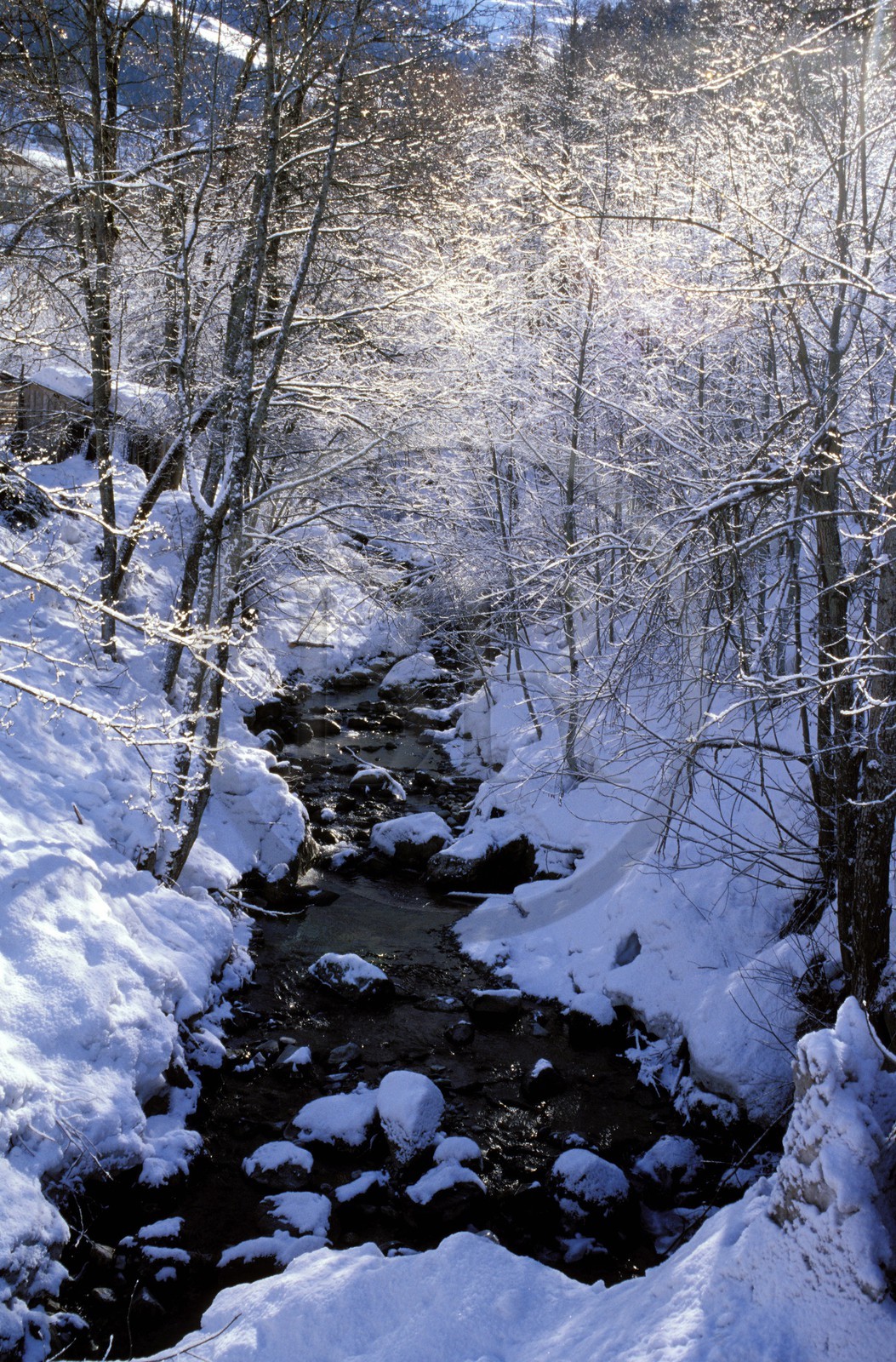 France, Savoie, Areches region , Argentine river
