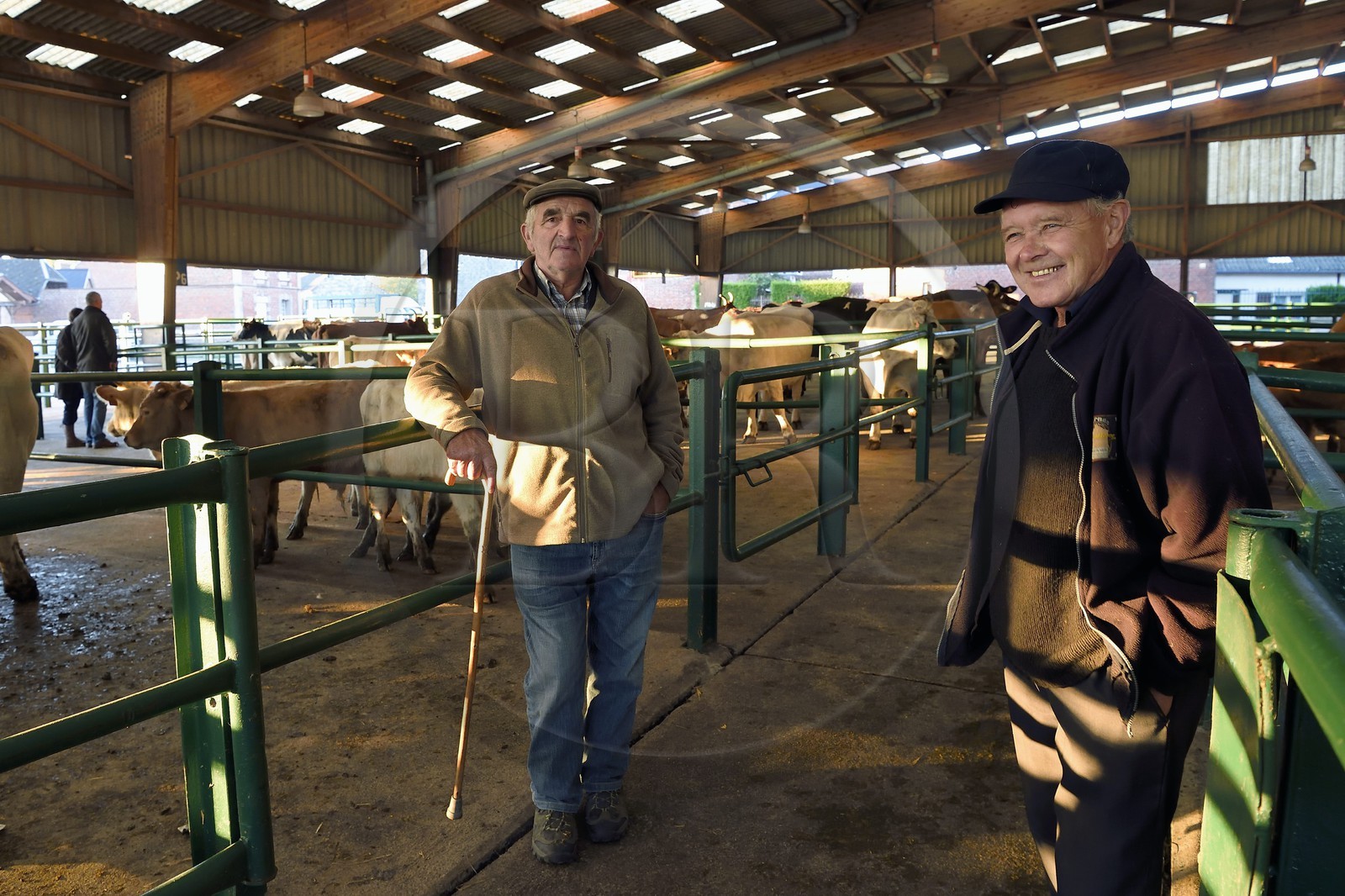 France, Seine-Maritime (76), Forges-les-eaux, marché couvert aux bestiaux
