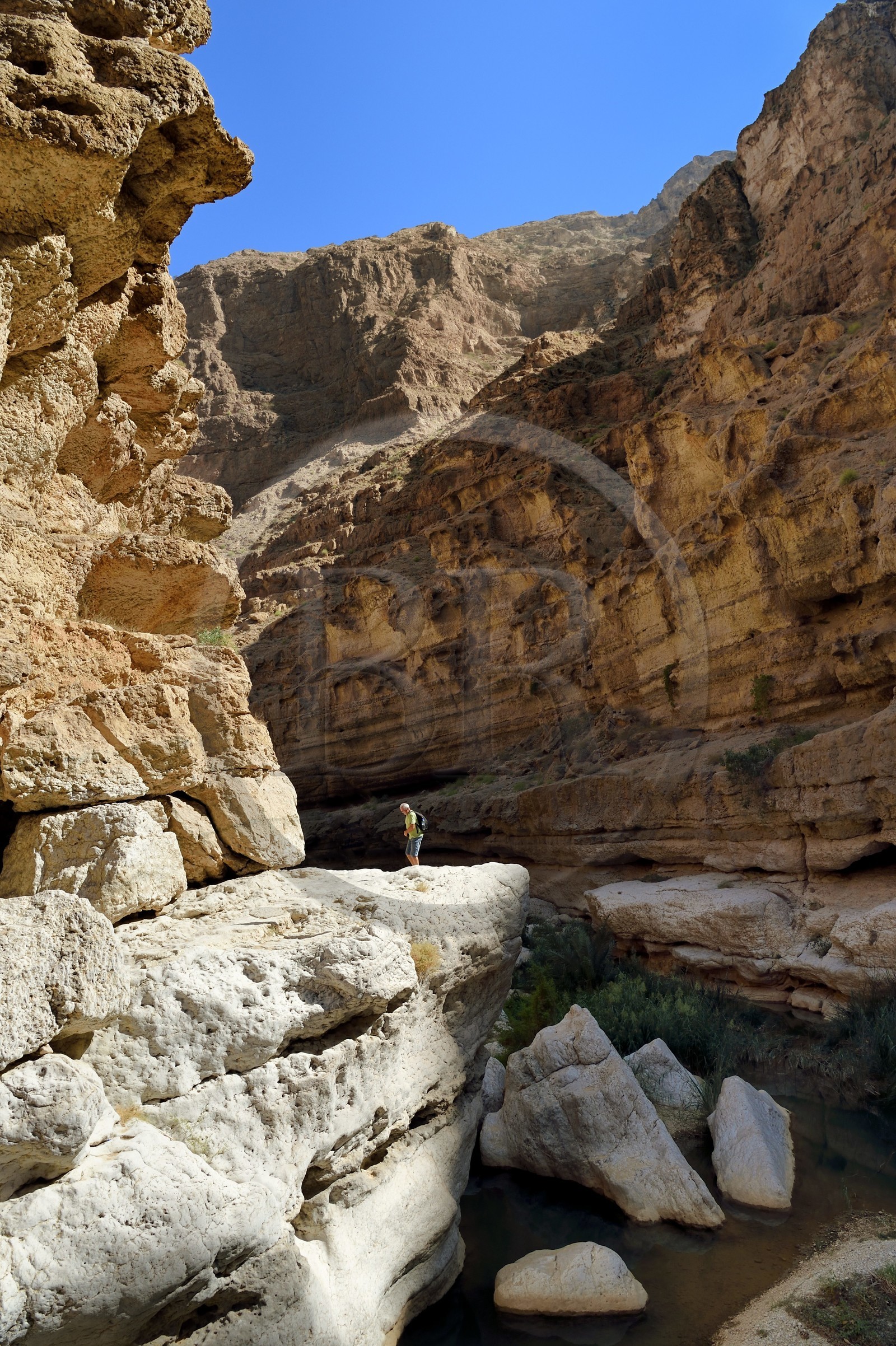 Sultanat d'Oman, région d'Ash Sharqiyah, Tiwi, randonneur dans le Wadi ash Shab
