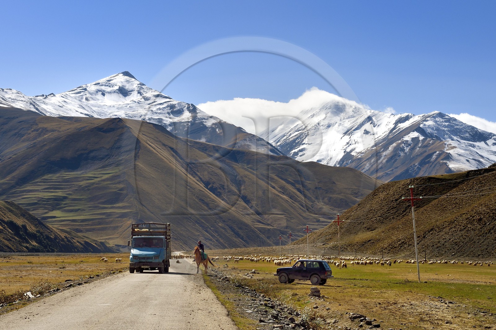 Azerbaijan, Quba (Guba) region, Greater Caucasus mountain range, along Xinaliq Yolu road towards Khinalug, breeder and his flock of sheep below the village of Qalaxudat
