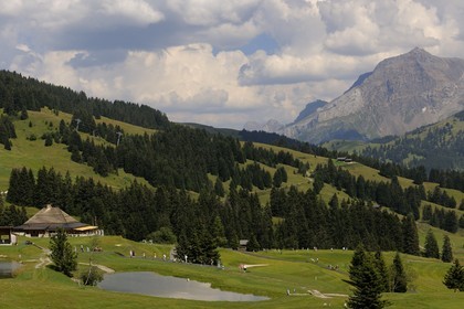 Suisse, Canton de Vaud, golf de Villars sur Ollon