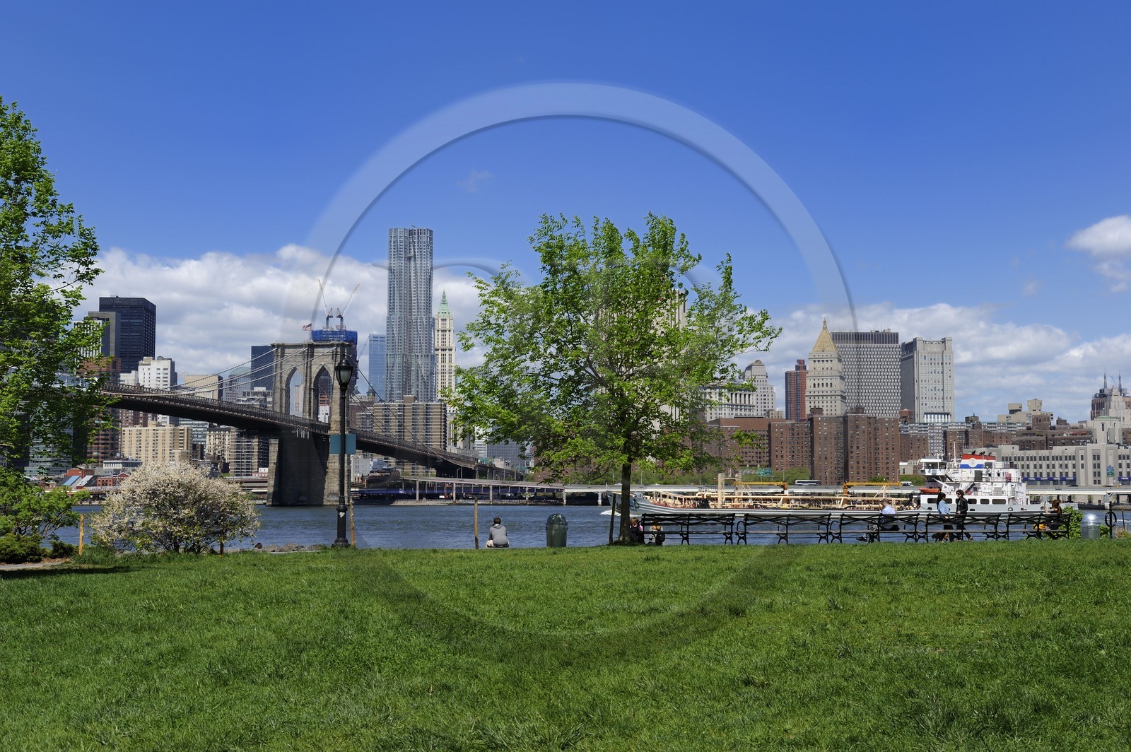 Etats-Unis, New York, le Pont de Brooklyn depuis Brooklyn Bridge Park et la Beekman Tower de l'architecte Frank Gehry