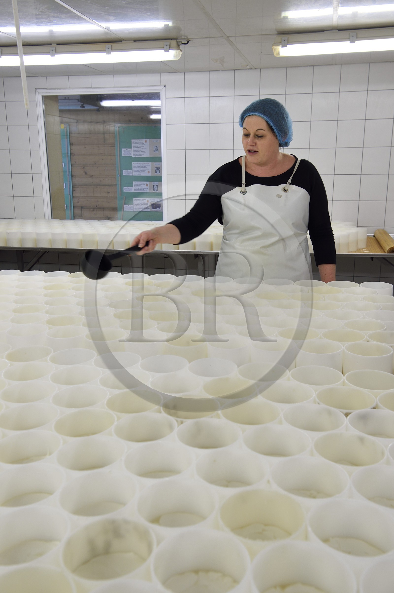 France, Orne (61), Pays d'Auge, village de Camembert, Ferme de la Héronnière, AOC Camembert au lait cru, camembert fermier moulé à la louche
