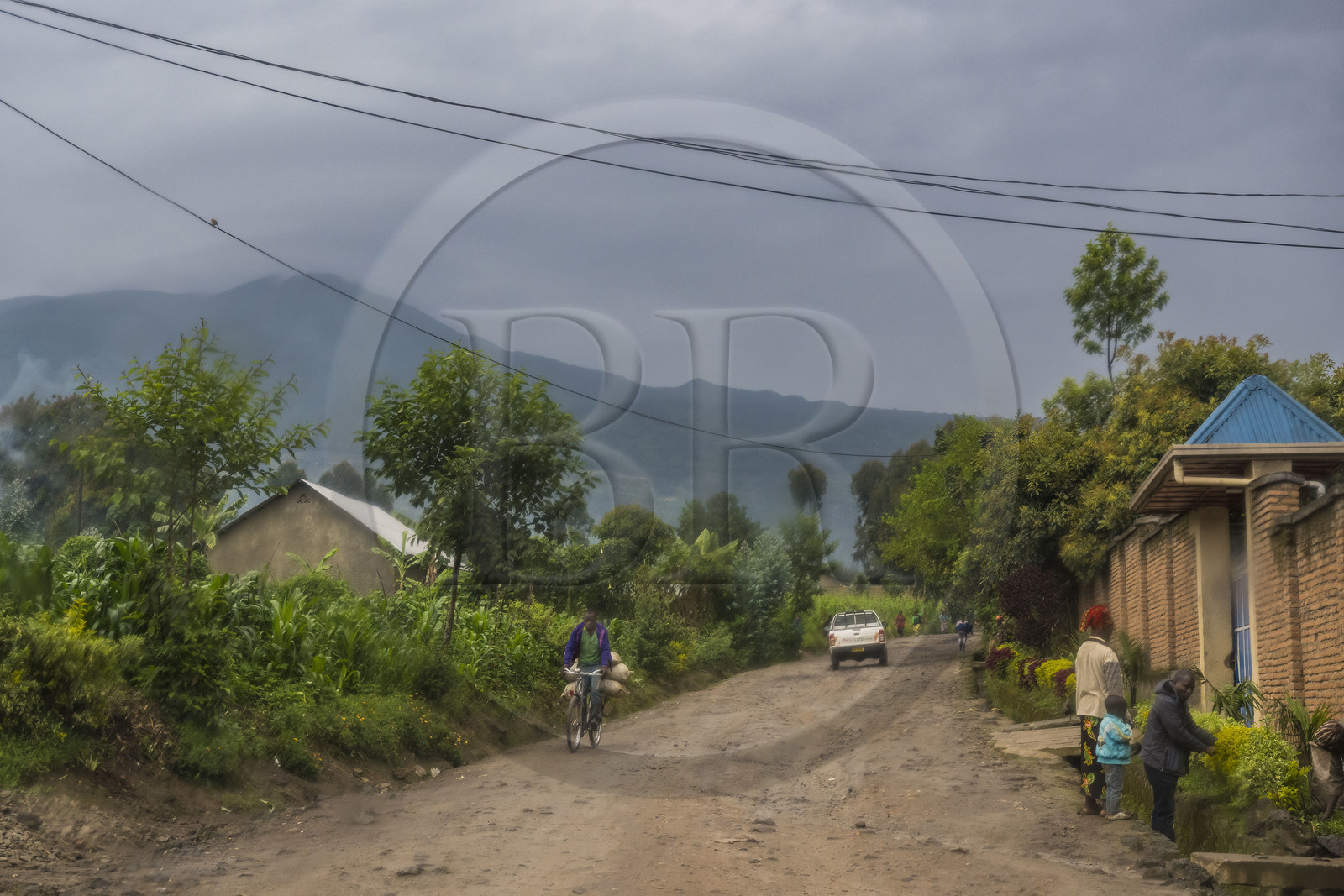 Rwanda, Province du Nord, District de Musanze (Ruhengeri), Busogo, piste menant au mont Karisimbi dans les montagnes des Virunga dont il est le point culminant (en arrière plan) et où vivent les gorilles