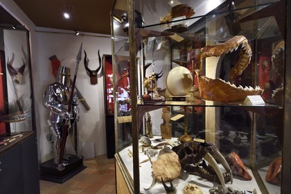 France, Dordogne (24), Périgord Noir, vallée de la Dordogne, Sarlat-la-Canéda, le Manoir de Gisson, cabinet de curiosités dans le musée du Manoir de Gisson