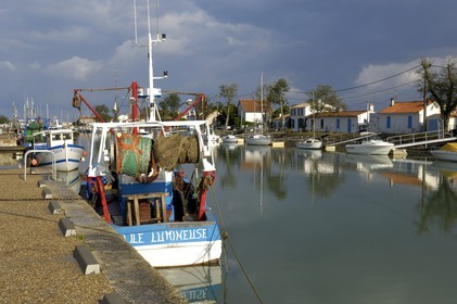 France, Charente-Maritime (17), Ile d'Oléron, port de Boyardville