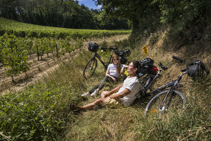France, Maine-et-Loire, Loire valley listed as World Heritage by UNESCO, Dampierre to the east of Saumur, break in a cycling in the vineyards of the Loire hillsides