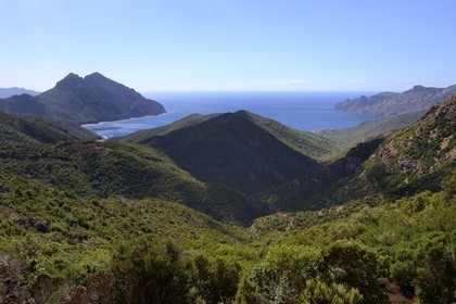 France, Corse du Sud, Golfe de Girolata, listed as World Heritage by UNESCO, the Punta Rossa of the peninsula of the Scandola Nature Reserve on the right in the background seen from the Col de Palmarel