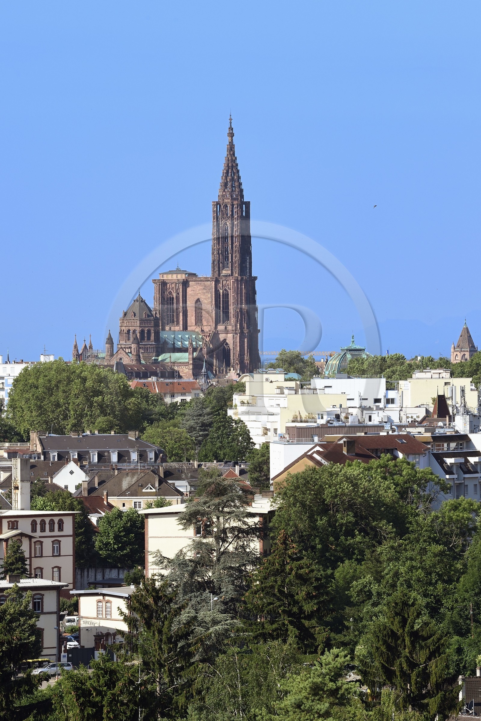 France, Bas-Rhin (67), Strasbourg, vieille ville classée au Patrimoine Mondial de l'UNESCO, la cathédrale Notre-Dame et le quartier du Contade au premier plan