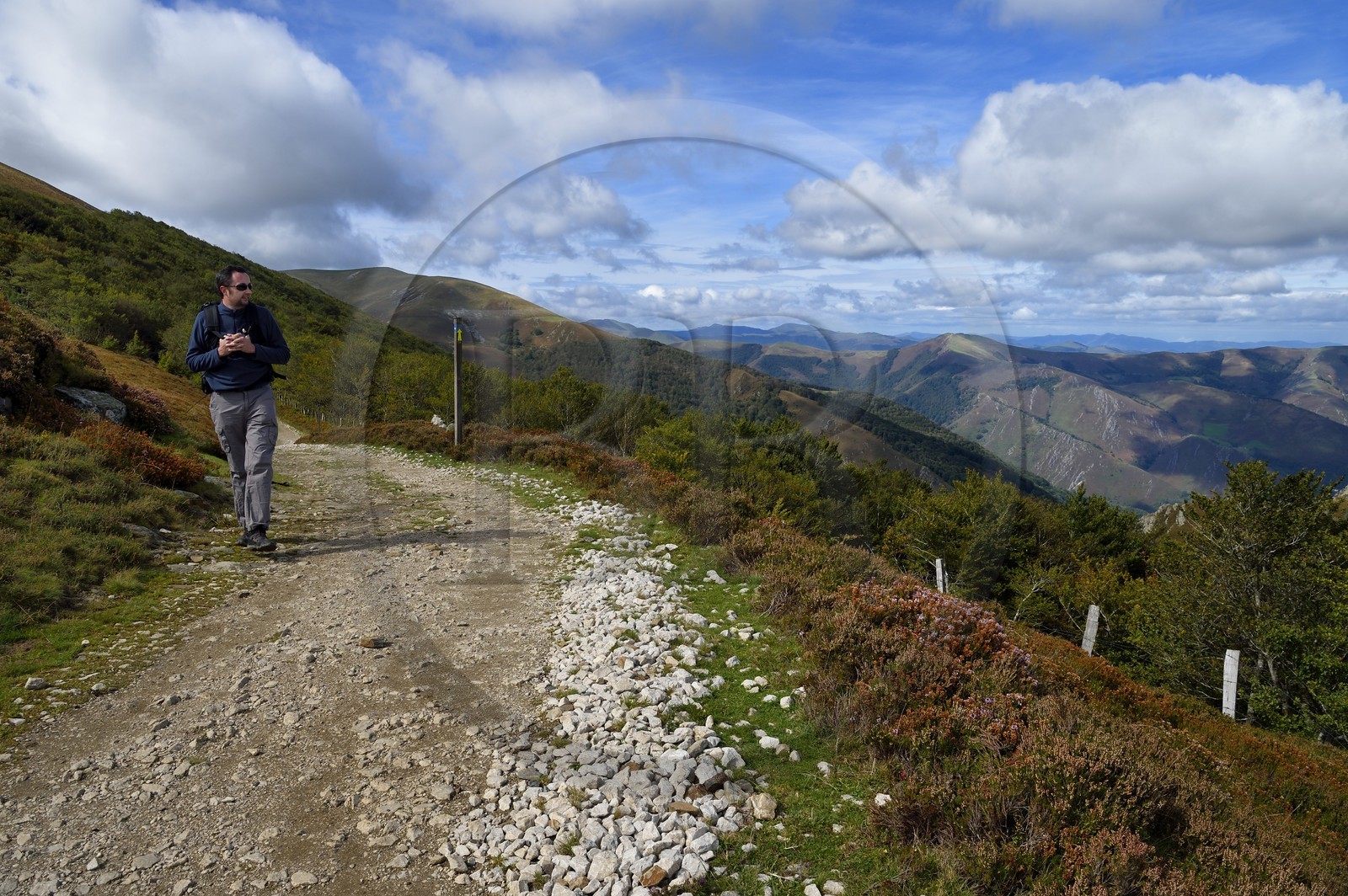 Espagne, Pays-Basque, Navarre, chemin de Saint-Jacques de Compostelle entre Saint-Jean-Pied-de-Port et Roncevaux au col de Bentarte