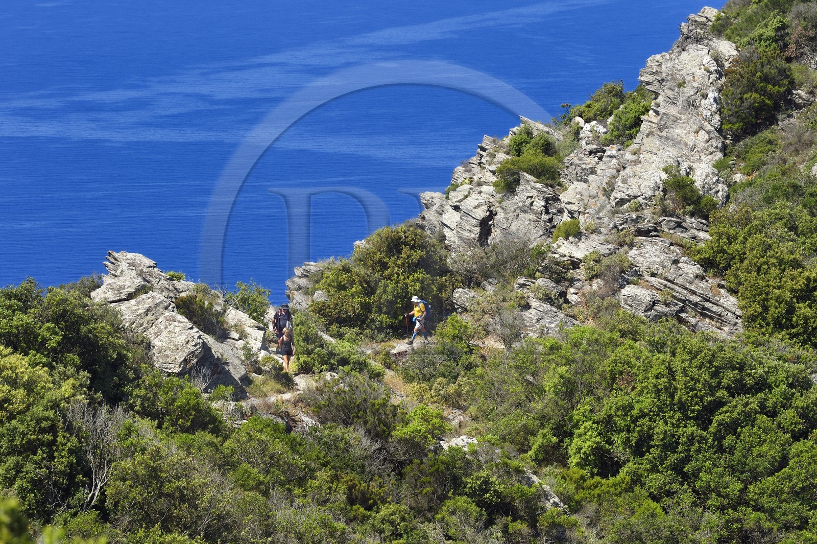 France, Var (83), Six-Fours-les-Plages, randonnée dans le massif du Cap Sicié, randonneurs sur le sentier des cretes de Roumagnan