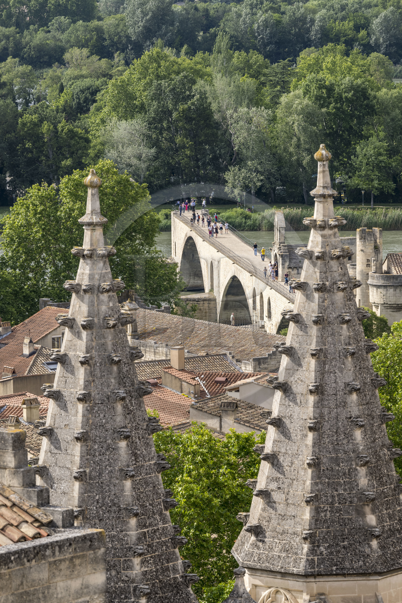 France, Vaucluse, Avignon, Saint-Bénézet bridge (Avignon bridge) listed as World heritage by UNESCO