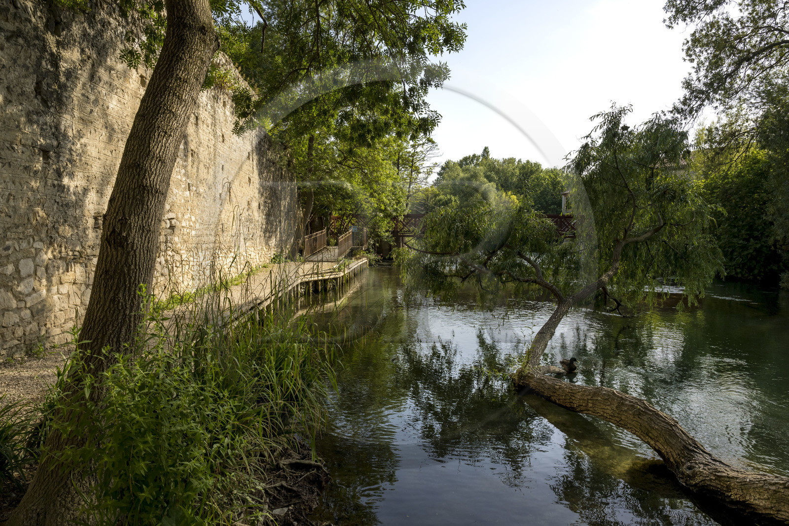 France, Vaucluse (84), Le Thor, les anciens remparts sur les rives de la Sorgue