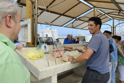 Greece, Cyclades islands, Mykonos island, Chora (Mykonos town), the fish market on the port