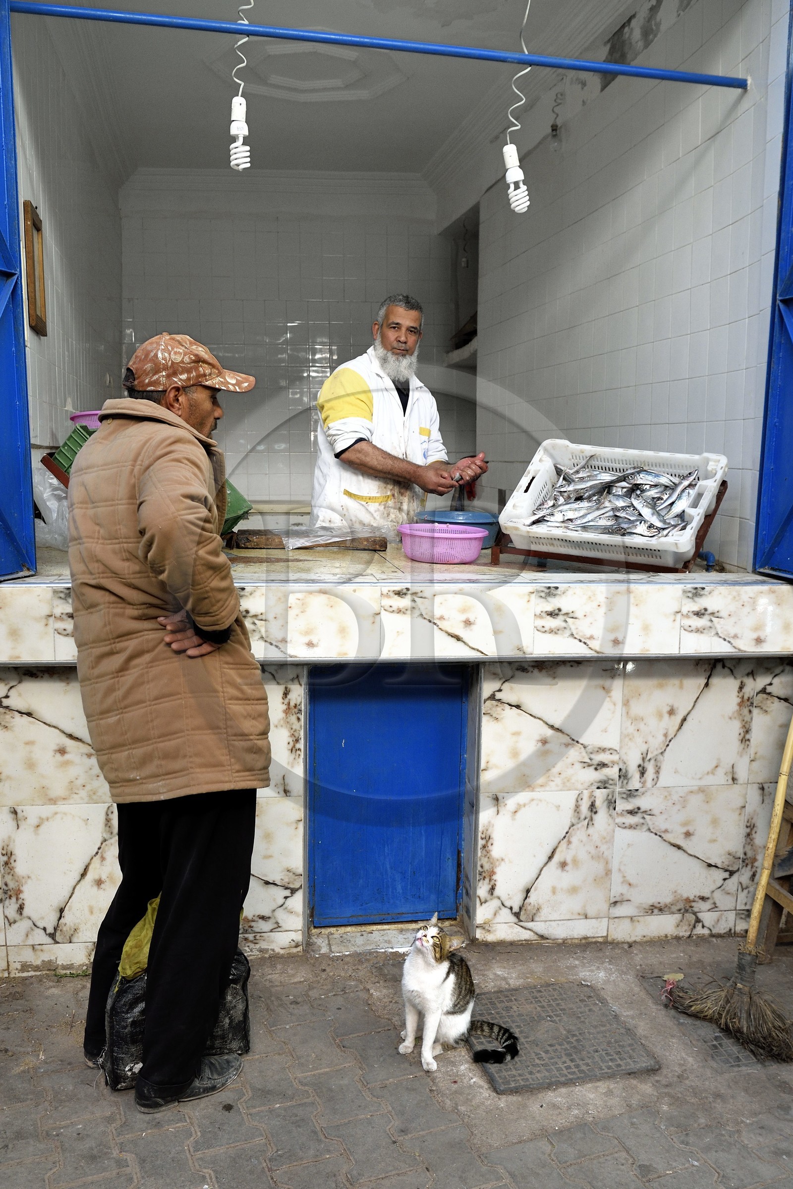 Maroc, Haut-Atlas, Marrakech, ville impériale, Médina classée Patrimoine Mondial de l'UNESCO, étal de poissonnier dans le souk
