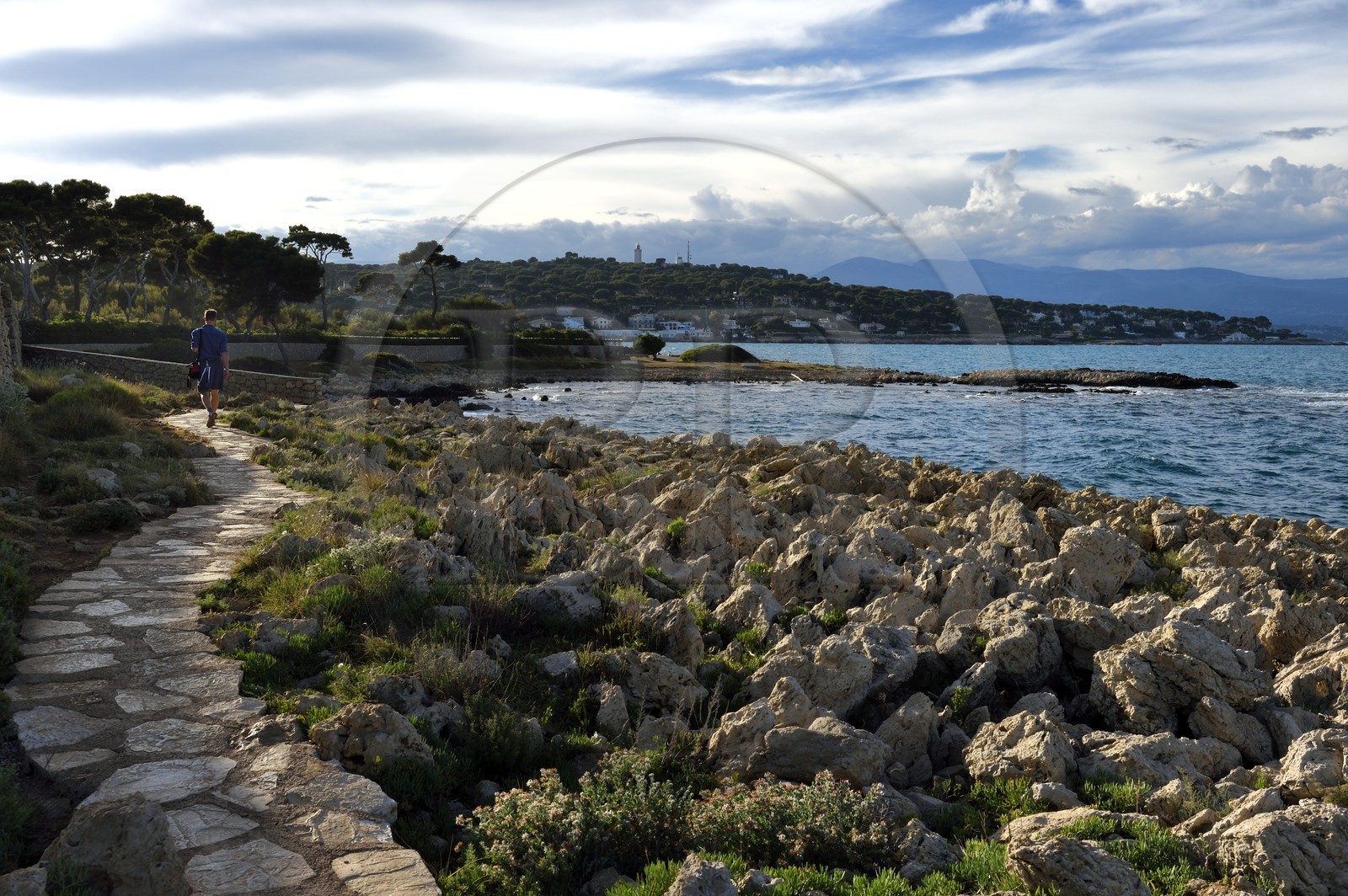 France, Alpes-Maritimes (06), Antibes, Cap d'Antibes, le sentier du Littoral Tire-poil (ou chemin des douaniers) au Cap Gros