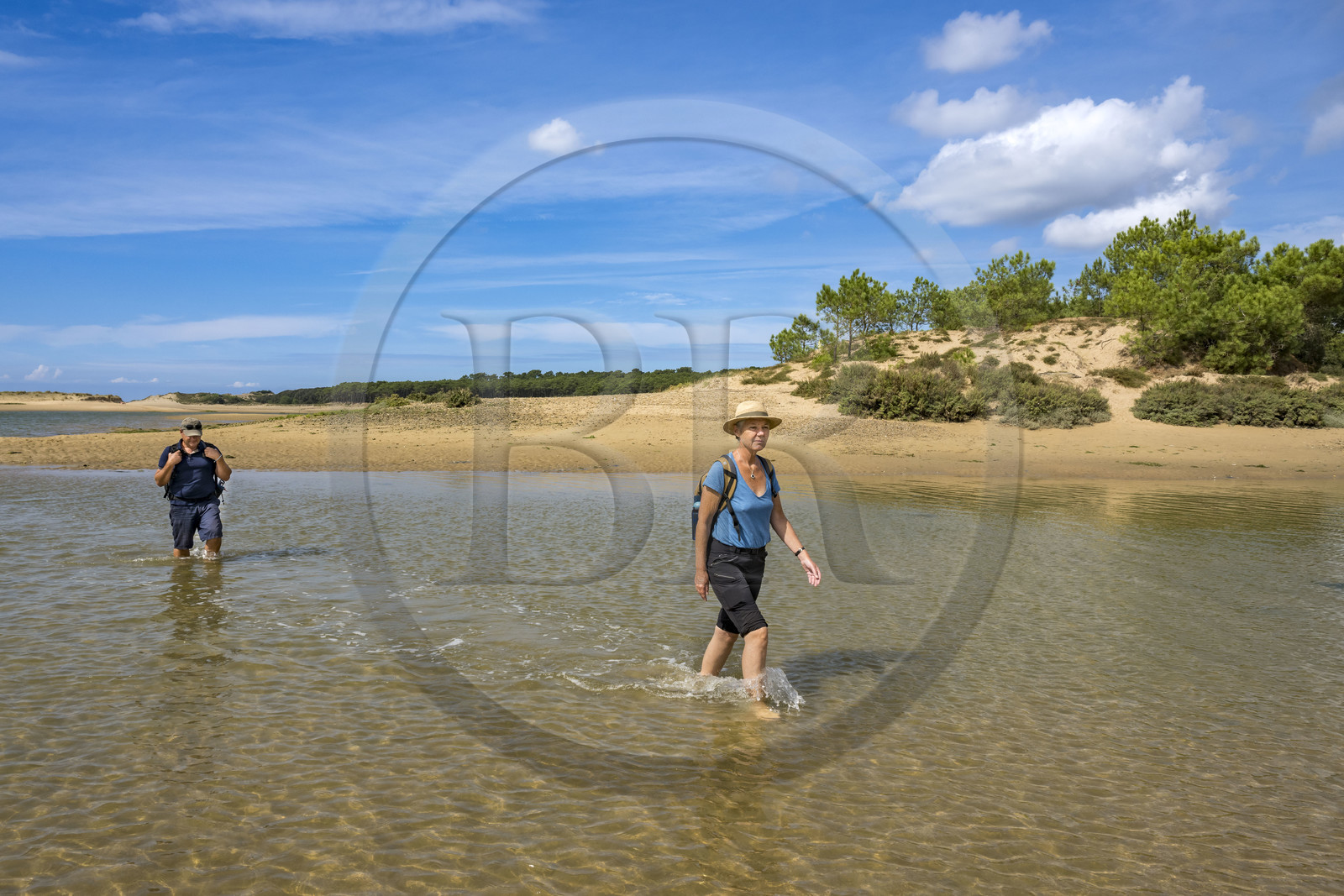 France, Vendée (85), Talmont Saint Hilaire, la Pointe du Payré, crossing of the mouth of the Payré river at low tide by hikers