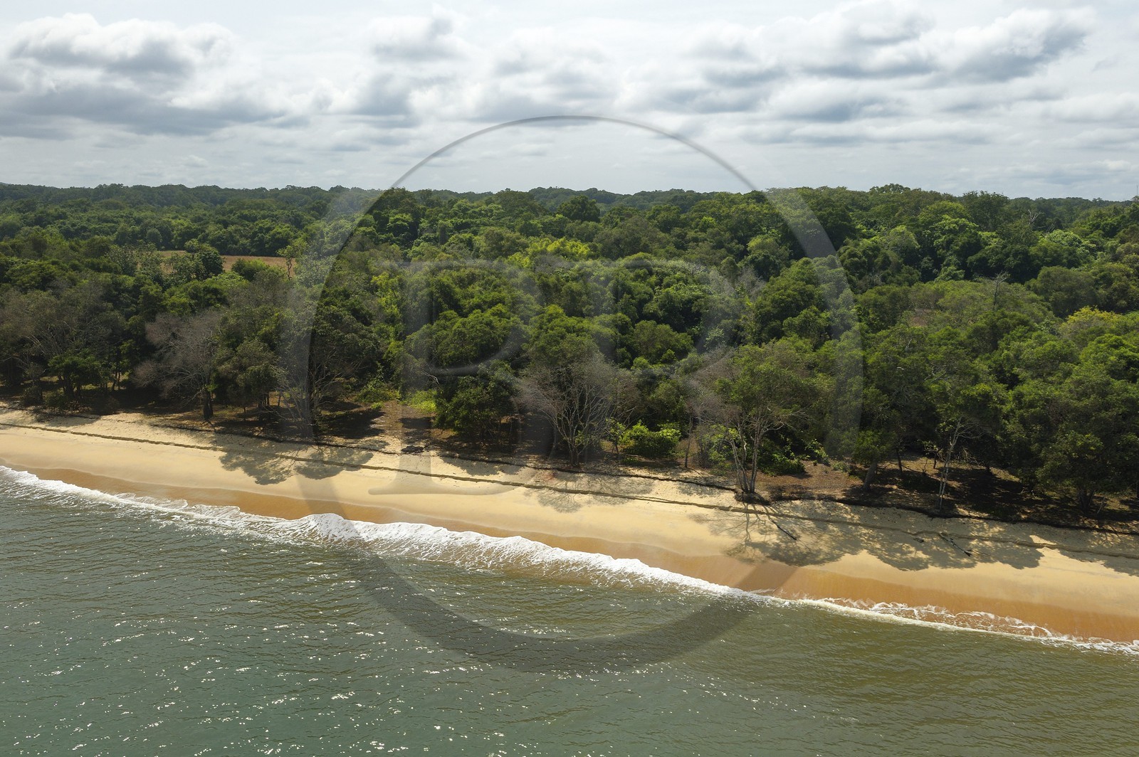 Gabon, Province de Ogooué-Maritime, Parc National Wonga Wongue, la zone littorale  (vue aérienne)