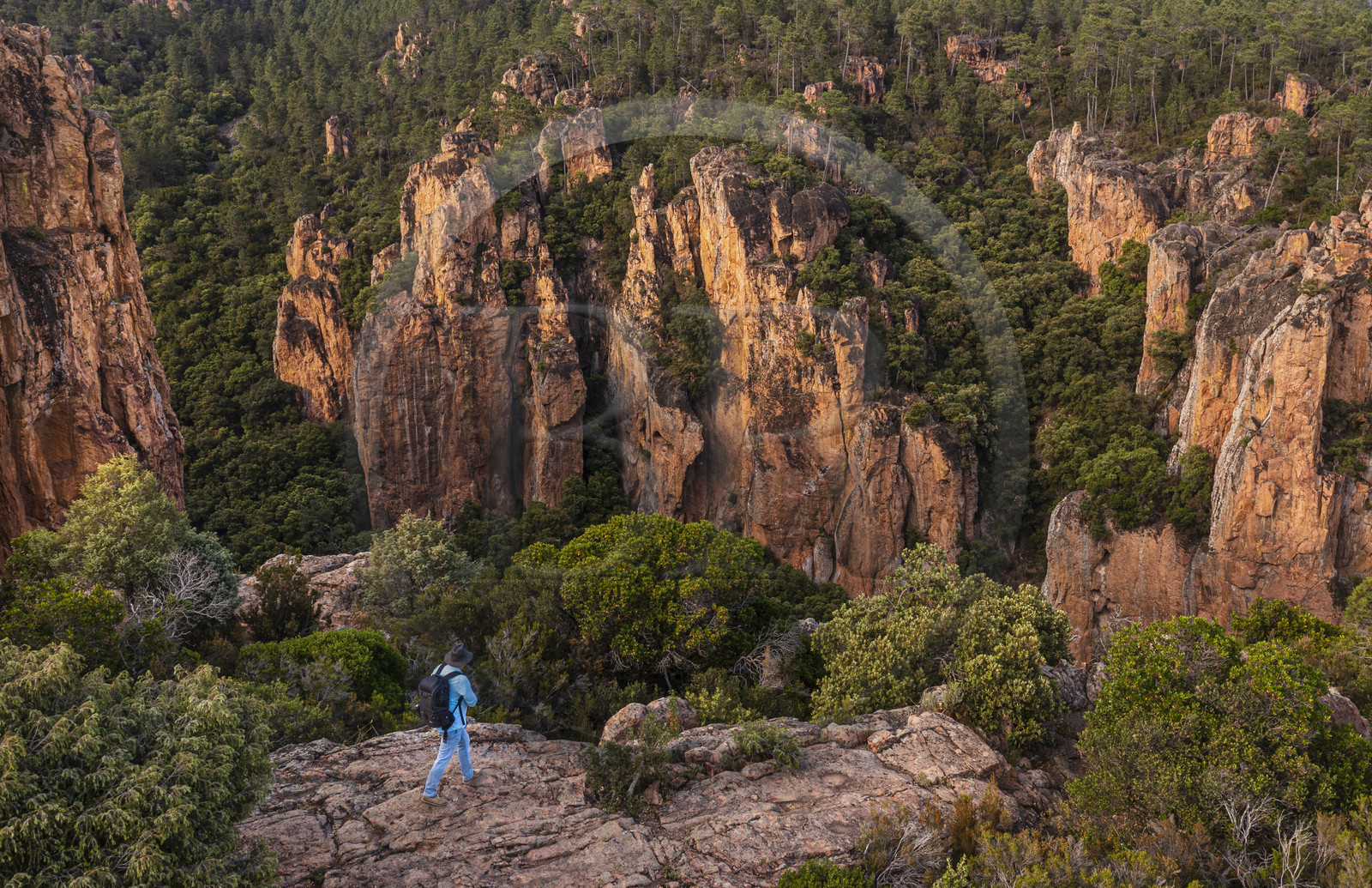 France, Var (83), entre Bagnols-en-Forêt et Roquebrune-sur-Argens, randonneur à l'entrée des Gorges du Blavet (vue aérienne)