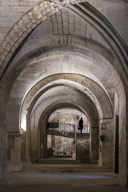France, Gard, Saint Gilles du Gard, 12th-13th century Abbey Church of Saint-Gilles, classified as World Heritage by UNESCO under the routes to Santiago de Compostela in France, crypt or lower church housing the tomb of Saint Gilles