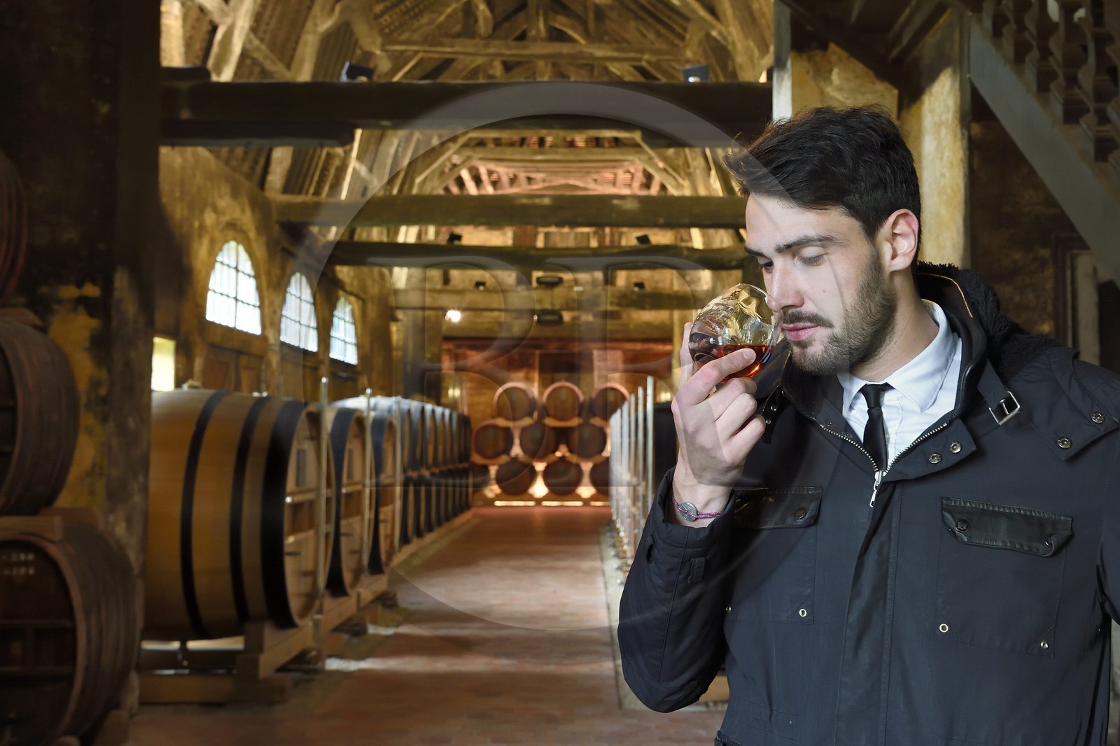 France, Calvados (14), Pays d'Auge, Le Breuil-en-Auge, Chateau du Breuil producteur de Calvados AOC Pays d’Auge, tonneaux dans les chais de vieillissement