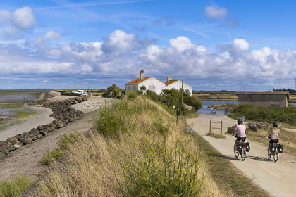 France, Vendée (85), île de Noirmoutier, Barbatre, cyclistes sur la piste cyclable qui suit la digue entre le Port de Bonhomme et le passage du Gois