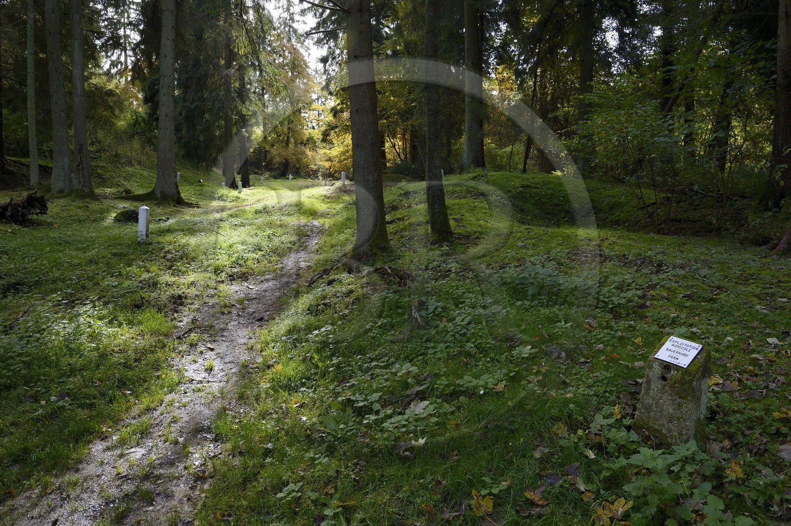 France, Meuse (55), bataille de Verdun, Fleury-devant-Douaumont, le village fut entièrement détruit en 1916 pendant la bataille de Verdun et ne fut pas reconstruit