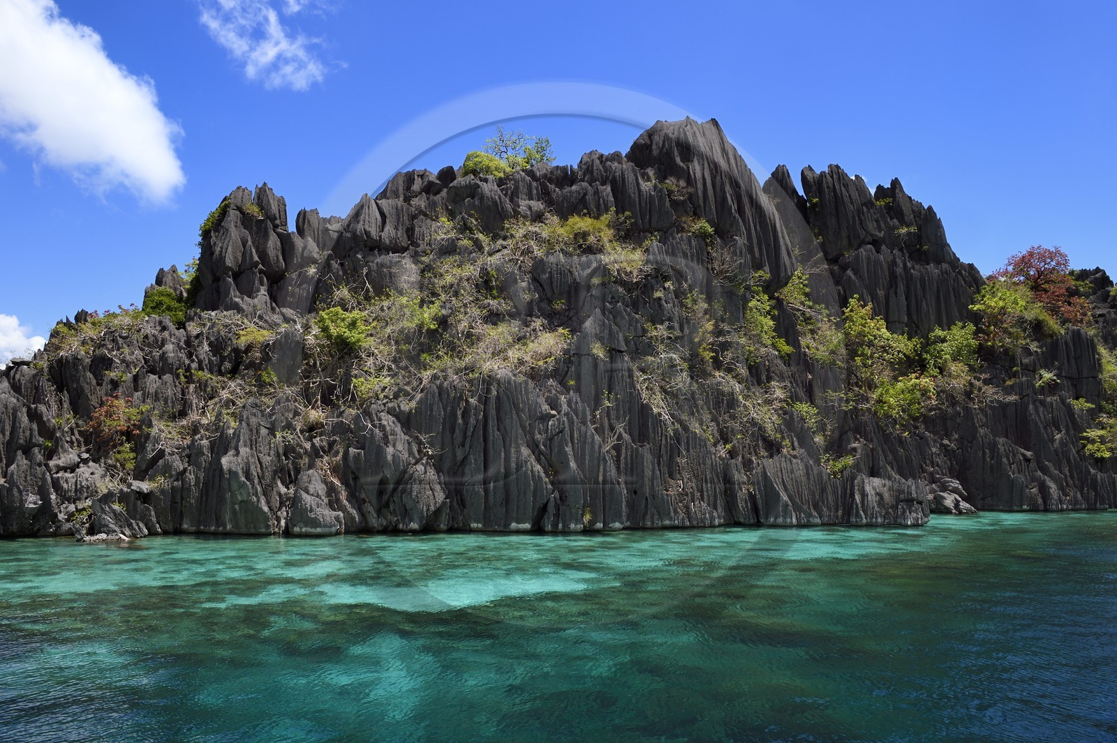 Philippines, Calamian Islands dans le nord de Palawan, Coron Island Natural Biotic Area, lagon et falaises de calcaire du Permien d'origine jurassique