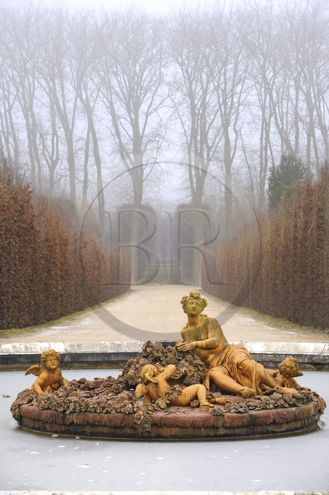 France, Yvelines, parc du Chateau de Versailles, listed as World Heritage by UNESCO, flora basin in winter also called the spring basin in Winter
