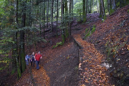 France, Haut-Rhin (68), Parc naturel régional des ballons des Vosges, randonneurs remontant de la vallée de Storckensohn vers le sommet de La Tête des Perches
