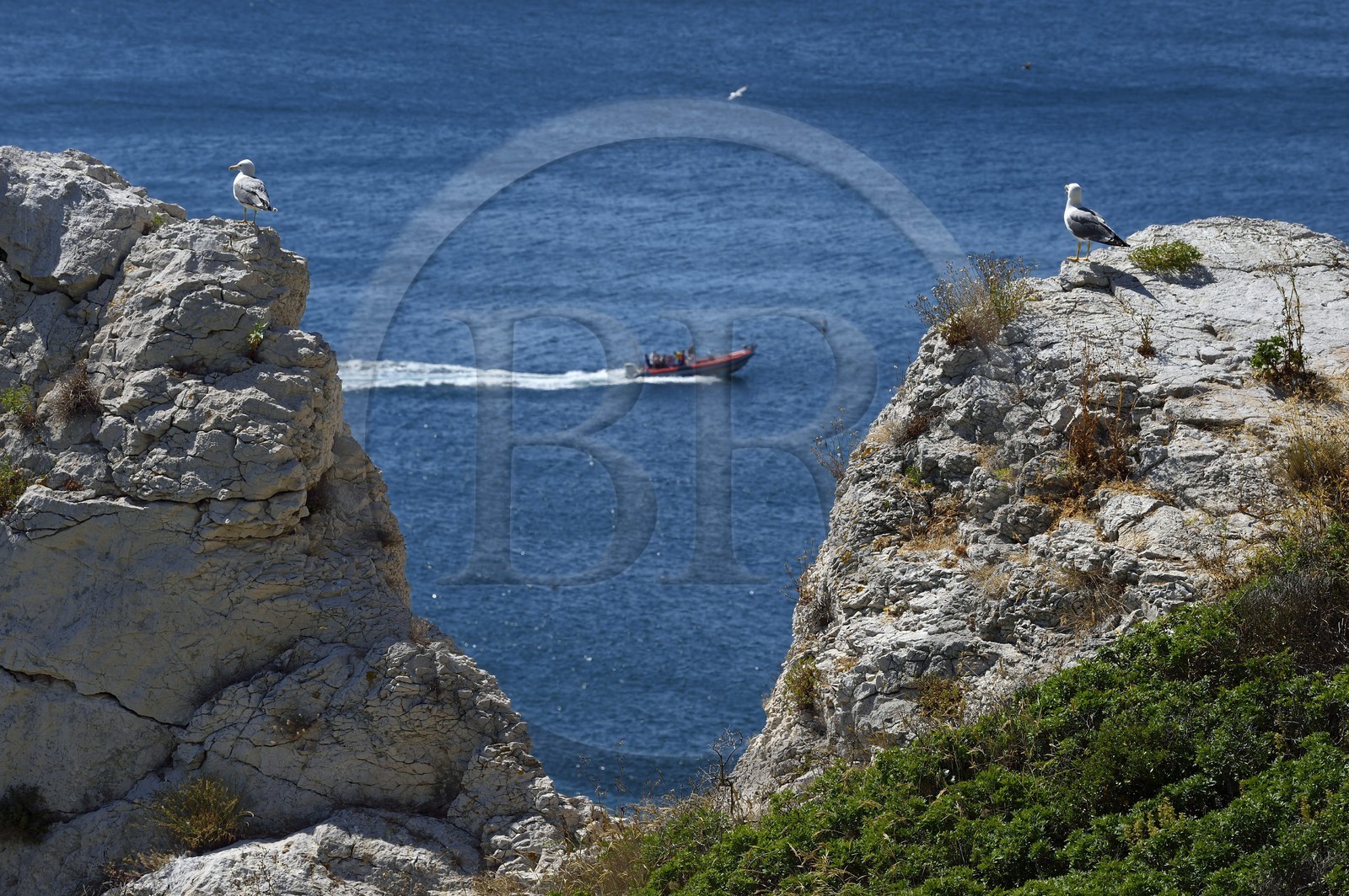 France, Bouches-du-Rhône (13), Marseille, Parc National des Calanques, Archipel des Iles du Frioul, Ile de Pomègues