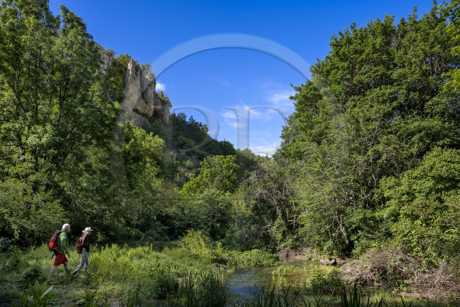 France, Vaucluse, Mont Ventoux Regional Natural Park, Monieux, Gorges de La Nesque, hiking along the Nesque river
