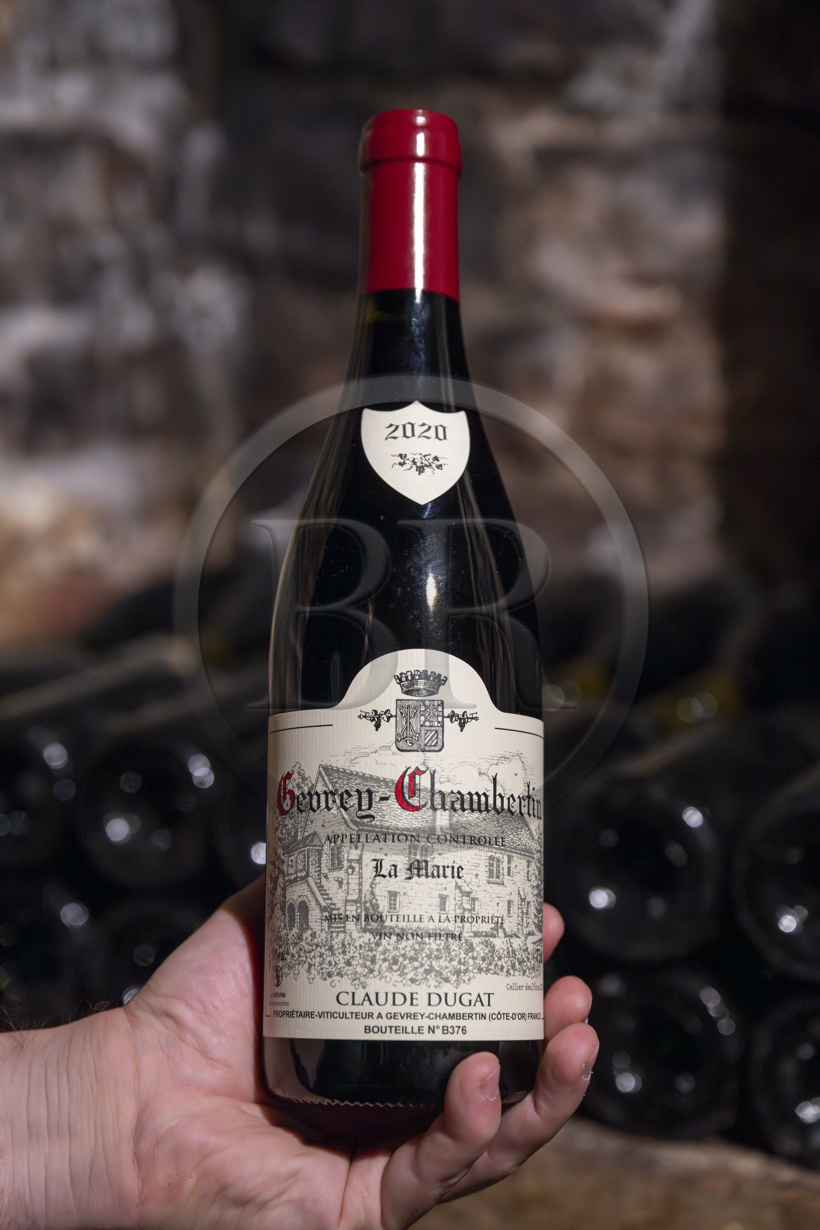 France, Côte-d'Or (21), Paysage culturel des climats de Bourgogne classés Patrimoine Mondial de l'UNESCO, Route des Grands Crus, vignoble de la Côte de Nuits, Gevrey-Chambertin, bouteille de vin du Domaine Dugat