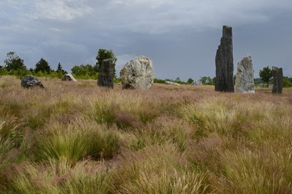 France, Ille-et-Vilaine (35), Saint-Just, monuments mégalithiques de la Lande de Cojoux