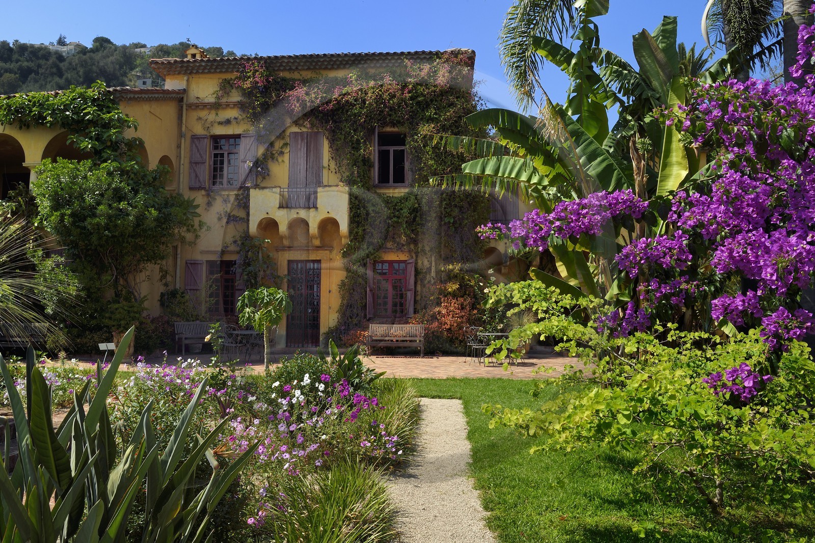 France, Alpes-Maritimes (06), Menton, villa du Jardin botanique exotique du Val Rahmeh