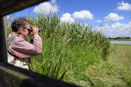 France, Charente-Maritime (17), Rochefort, observation des oiseaux à la Station de Lagunage avec Christophe Boucher, guide de la LPO