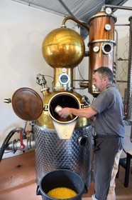 France, Reunion island (French overseas department), La Saline, La Part des Anges Distillation, filling the electric still with the fermented pineapple for the triple distillation of eau de vie (brandy)
