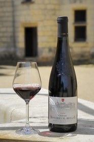 France, Maine et Loire, chateau de Montreuil-Bellay, wine castle