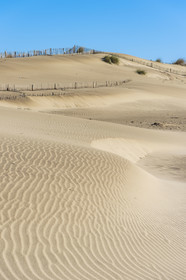 France, Gard, Camargue dune massif of the Pointe de l'Espiguette by the sea