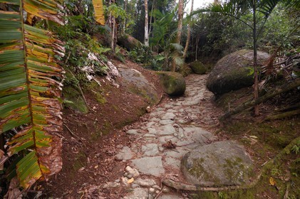 Brésil, Etat de Rio de Janeiro, Paraty, ancienne route de l'or (Estrada Real)