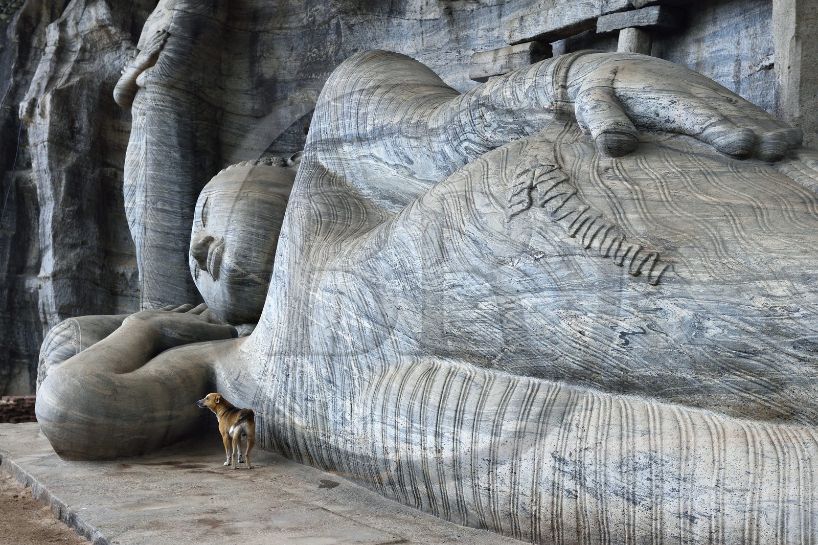 Sri Lanka, province du Centre-Nord, Polonnaruwa, l'ancienne capital du pays (XIe au XIIIe siècle) est classée au Patrimoine Mondial de l'UNESCO, bouddha géant taillé dans la rocher du Gal Vihara, Bouddha couché
