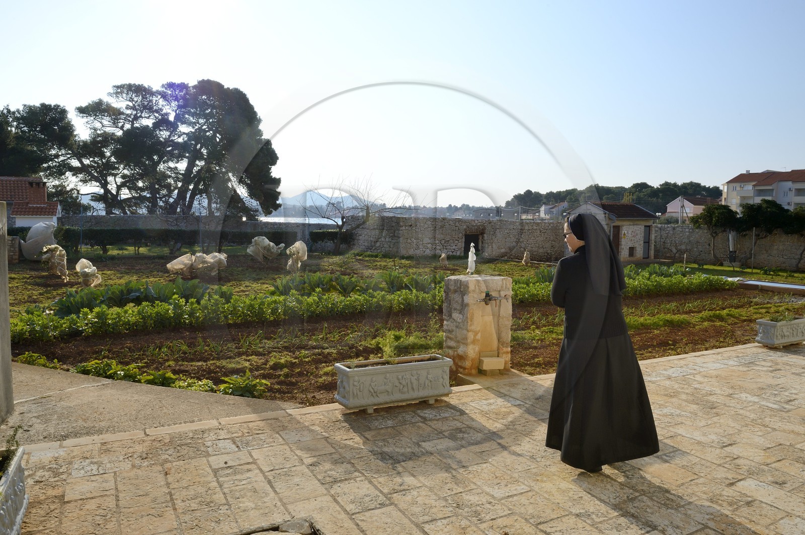 Croatie, Dalmatie, côte dalmate, Ile d’Ugljan, couvent franciscain Saint-Jérôme de la congrégation des Filles de la Miséricorde, sœur Theresija dans le jardin potager